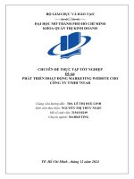 Phát triển hoạt Động marketing website cho công ty tnhh 7star