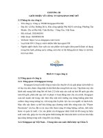 Công ty kingspan vietnam (2)