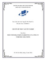 Phân tích hoạt Động marketing của công ty tnhh meu solutions