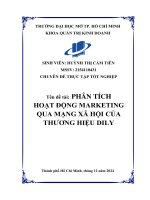 Phân tích hoạt Động marketing qua mạng xã hội của thương hiệu dily
