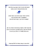 Phân tích hoạt Động tiếp thị nội dung (content marketing) cho mỹ phẩm saam tại công ty tnhh wesaam
