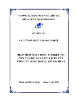 Phân tích hoạt Động marketing   mix cho dự Án lavida plus của công ty long hoàng investment