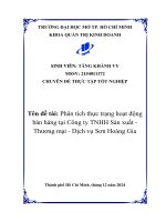 Phân tích thực trạng hoạt Động bán hàng tại công ty tnhh sản xuất   thương mại   dịch vụ sơn hoàng gia