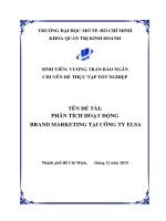 Phân tích hoạt Động brand marketing tại công ty elsa