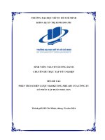 Phân tích chiến lược marketing   mix (4p) của công ty cổ phần tập Đoàn hoa sen