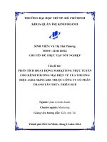 Phân tích hoạt Động marketing trực tuyến cho kênh thương mại Điện tử của thương hiệu alba skincare thuộc công ty cổ phần thanh tân thừa thiên huế