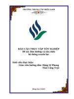 Báo cáo thực tập tốt nghiệp Đề tài bảo dưỡng và sửa chữa hệ thống truyền lực
