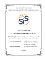 Đề tài nghiên cứu khoa học tổng quan tình hình nghiên cứu về người có tầm Ảnh hưởng trong các chiến dịch truyền thông thương hiệu