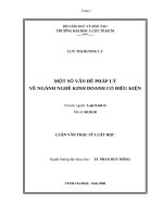 Một số vấn Đề pháp lý về ngành nghề kinh doanh có Điều kiện