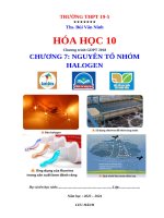 13.Chuong 7. Hoa 10  De.doc