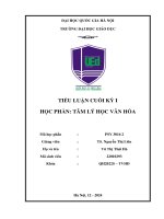 Vũ thị thái hà   22010293 dựa vào bằng chứng các nghiên cứu khoa học Đã công bố và từ góc nhìn của tâm lý học văn hóa, bạn hãy phân tích và Đánh giá về Đạo Đức, lối sống của giới trẻ việt nam trong giai Đoạn hiện nay