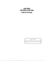 Giáo trình luật hình sự việt nam (phần các tội phạm   tập 1)