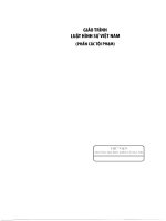 Giáo trình luật hình sự việt nam (phần các tội phạm   tập 2)