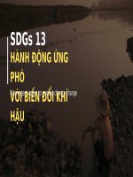 Mục tiêu phát triển bền vững 13 - SDG 13