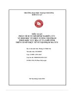 Phân tích về mô hình nghiên cứu xã hội học về hiện tượng tội phạm theo khu vực Địa lý và giới tính trên cơ sở thực tế về tội phạm ma túy