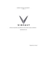Vinfast trading and production joint stock company business plan