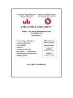 The international passenger survey, or ips