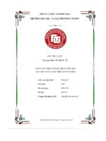 Phân tích hiệu quả sử dụng vốn oda tại việt nam và bài học kinh nghiệm