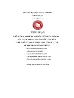 Phân tích mô hình nghiên cứu hiện tượng tội phạm theo cơ cấu giới tính, lứa tuổi, phân tầng xã hội, cho ví dụ cụ thể về tội phạm tham nhũng