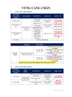 LÝ THUYẾT GIẢI PHẪU 1 (LT GP1) - VÙNG CẲNG CHÂN