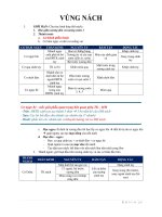 LÝ THUYẾT GIẢI PHẪU 1 (LT GP1) - VÙNG NÁCH