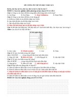 Đề cương Ôn tập tin học 9