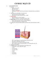 LÝ THUYẾT GIẢI PHẪU 1 (LT GP1) - CƠ ĐẦU MẶT CỔ