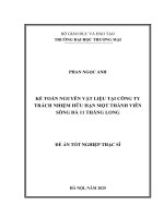 Kế toán nguyên vật liệu tại Công ty Trách nhiệm Hữu hạn Một thành viên Sông Đà 11 Thăng Long