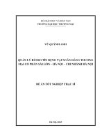 99 vũ quỳnh anh   ch29bqlkt n1