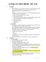 LÝ THUYẾT GIẢI PHẪU 1 (LT GP1) - CƠ QUAN TIỀN ĐÌNH ỐC TAI