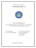 Phân tích báo cáo tài chính Công ty Cổ phần Đầu tư - Xây dựng Công trình Văn hóa và Đô thị