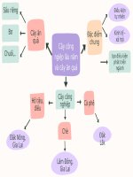 Sơ đồ tư duy Địa và lịch sử 9