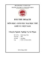 Bài Thu Hoạch 9 Điểm: Phân Tích Giải Pháp Phát Triển Giáo Dục Đại Học Việt Nam Và Liên Hệ Thực Tiễn Tại Cơ Sở Giáo Dục