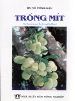 Trồng mít (nxb nông nghiệp 2001)   vũ công hậu  19 trang