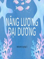 Năng lượng Đại dương ( chuyên đề lí 10)