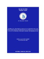 NGHIÊN CỨU TÍCH HỢP IN SILICO VÀ IN VITRO ĐỂ SÀNG LỌC HOẠT TÍNH KHÁNG STAPHYLOCOCCUS AUREUS CỦA CÂY DẦU LAI CÓ CỦ JATROPHA PODAGRICA HOOK. (EUPHORBIACEAE)