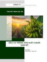 Thuyết minh dự Án Đầu tư trồng sản xuất chuối nam mỹ