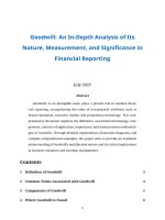 Goodwill in depth analysis