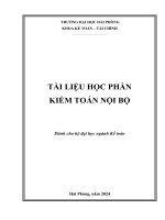 Tài Liệu Môn Kiểm Toán Nội Bộ.pdf
