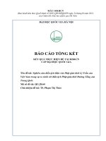 Đề tài nghiên cứu khoa học: Nghiên cứu điển tịch Hán văn Phật giáo thời Lý Trần của Việt Nam trong sự so sánh với điển tịch Phật giáo thời Đường Tống của Trung Quốc