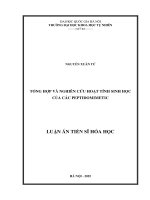 Luận án tiến sĩ Hóa hữu cơ: Tổng hợp và nghiên cứu hoạt tính sinh học của các Peptidomimetic
