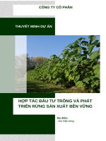 Thuyết minh dự Án trồng và phát triển rừng bền vững