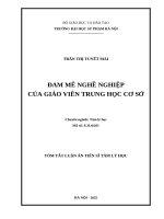 Tóm tắt: Đam mê nghề nghiệp của giáo viên Trung học cơ sở
