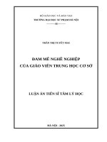 Đam mê nghề nghiệp của giáo viên Trung học cơ sở