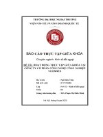 Hoạt Động Thực Tập Giữ A Khóa Tại Công Ty Cổ Phần Công Nghệ Công Nghiệp Vconnex.pdf