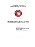 Biện chứng giữa cái chung và cái riêng và vận dụng vào việc xây dựng nền kinh tế thị trường Ở nước ta  1