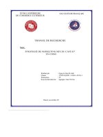 Travail de recherche sujet strategié de marketing mix du café g7 en chine