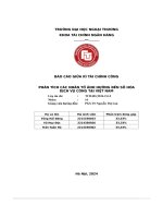 Báo cáo giữa kì tài chính công phân tích các nhân tố Ảnh hưởng Đến số hóa dịch vụ công tại việt nam