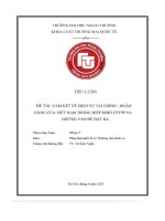Đề tà  cam kết về dịch vụ tài chính   ngân