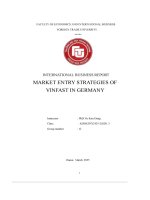 International business report market entry strategies of vinfast in germany